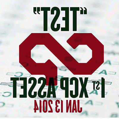 xcp.coindaddy.io/TSET.json