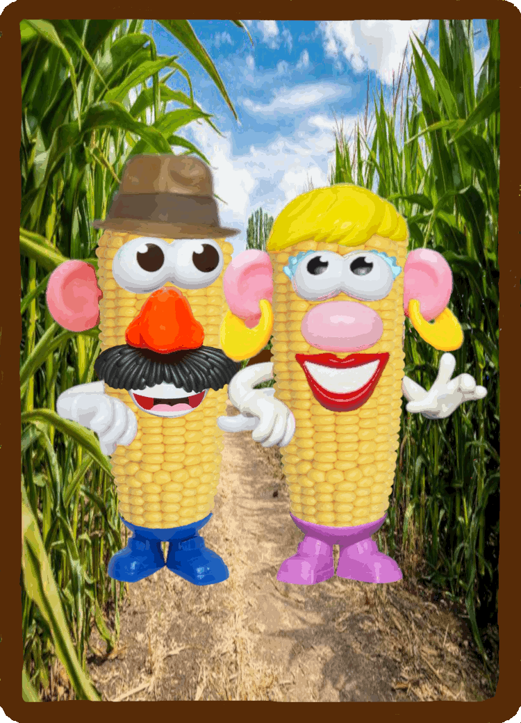 imgur/obi49rM.gif;MRCORNHEAD