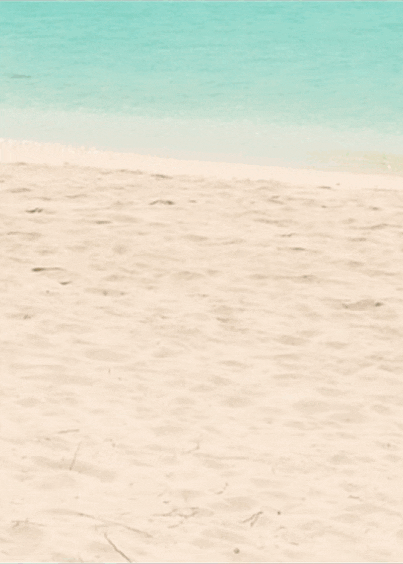 modernrelics.io/json/xcp/CRAB.json