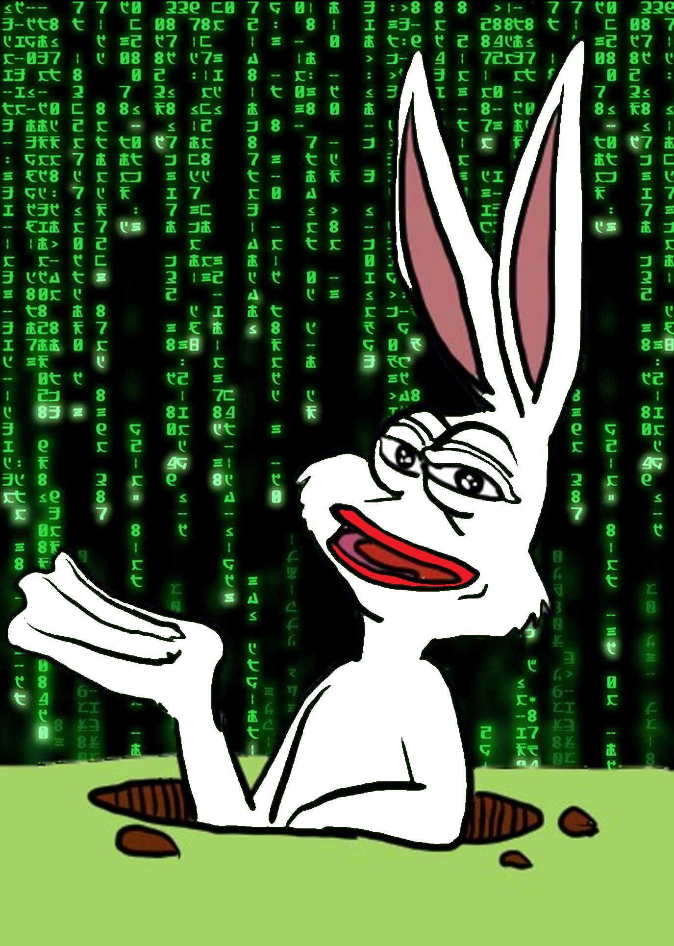 imgur/x4EuYRa.jpg;White Wabbit