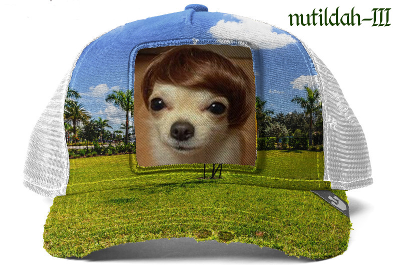 imgur/JRm28FD.jpg; nutildah-III / NFT 2021-04-01