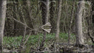 imgur/ePo1rXz.gif; PSYROCK