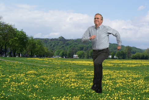 imgur/tzqm4yw.png;Dandelion Jeb