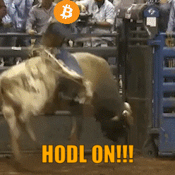 imgur/7StRYdo.gif;DANKHODL