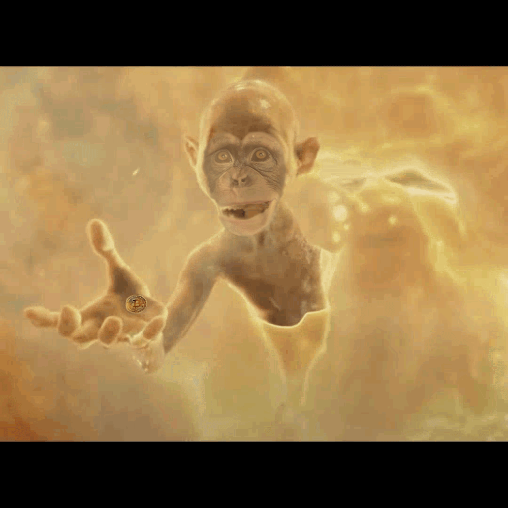 imgur/JPJoEWF.gif; FapeLegacy