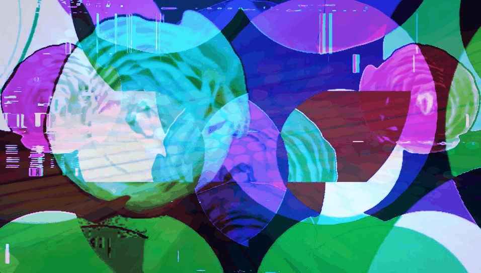 imgur/cEnFGAL.gif;Sincerely Yours