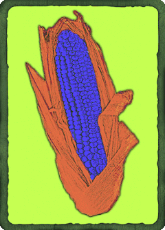 Every subjective value transformed into an image of cornsumption