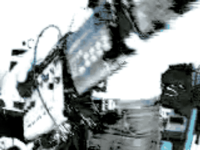 imgur/l91XygX.gif; Punks Not Dead