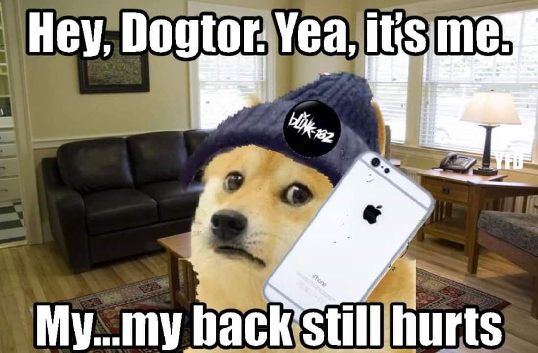 imgur/oXnJGnE.jpg;Dogter 1/3