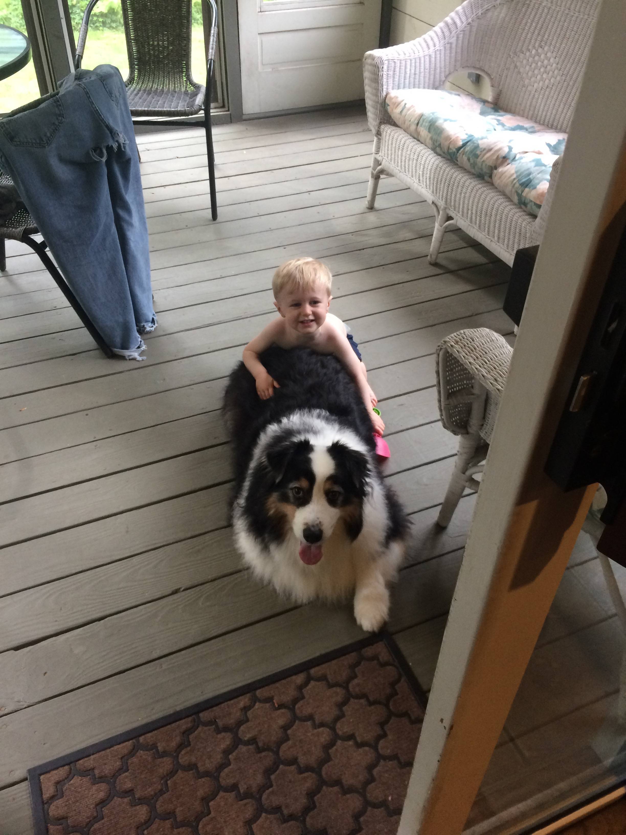 imgur/x8qOgim.jpg;Rare Buddies