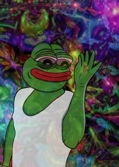 imgur/R3ucoVM.gif;DANK BAE