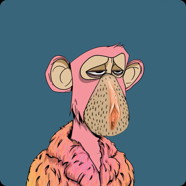 imgur/0g1YJZi.gif; DROOLPUSSY.SNEEZE