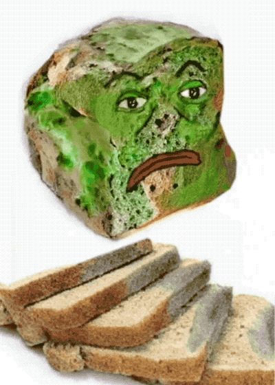 imgur/kTW3yNX.gif; Old Bread Pepe