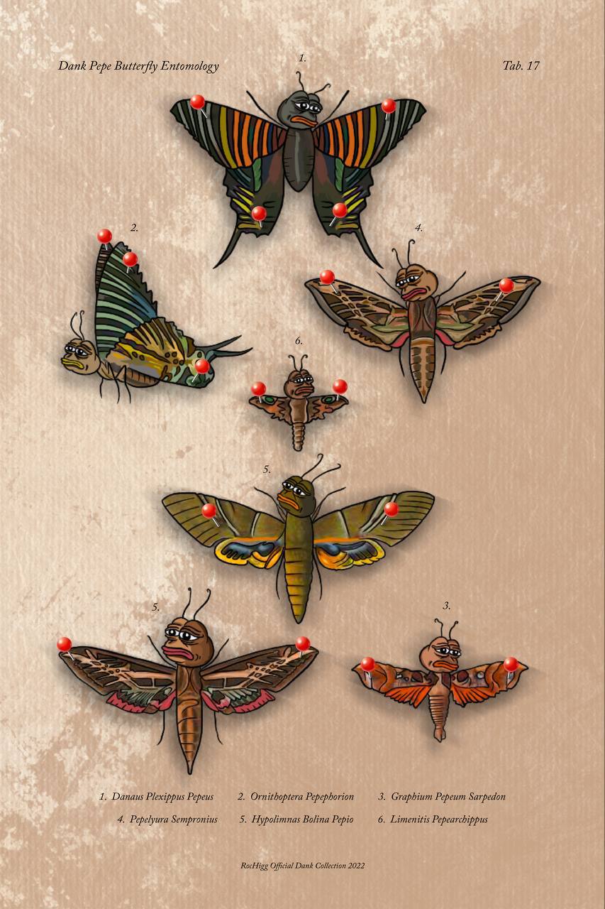 imgur/zKcOrLb.jpg;DANKPEPEFLY