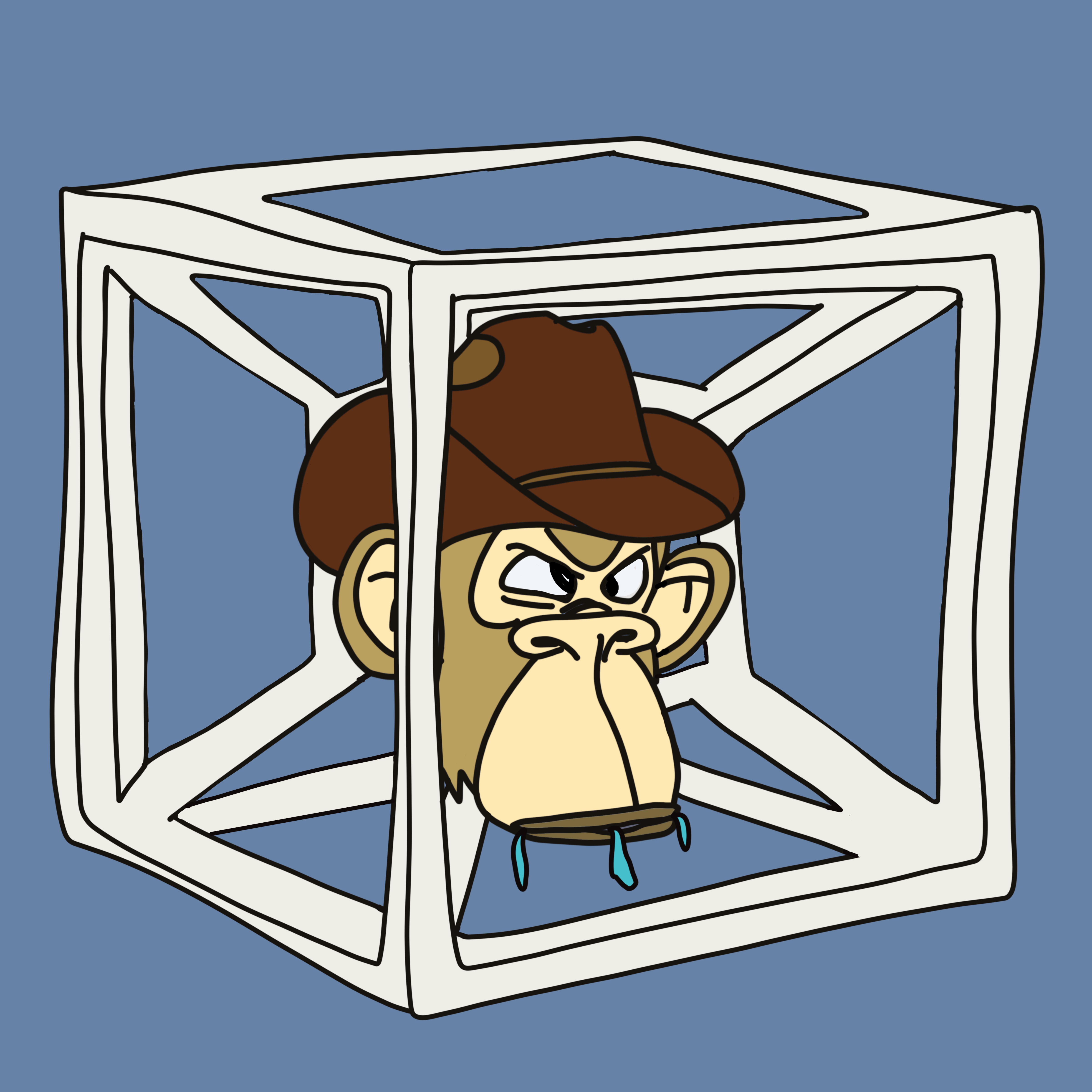 imgur/Go8eSnB.jpg; Derp In A Box