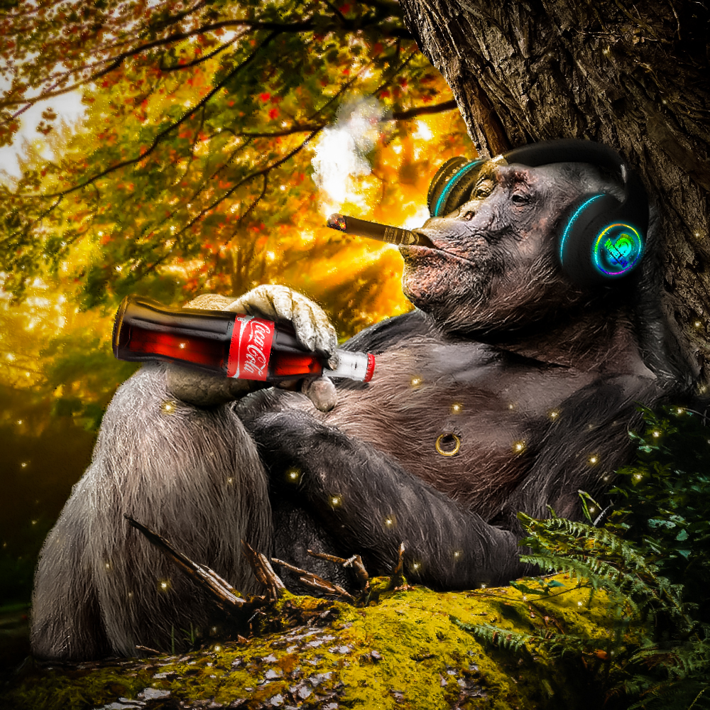 imgur/JwY43qp.jpg; RELAXING APE