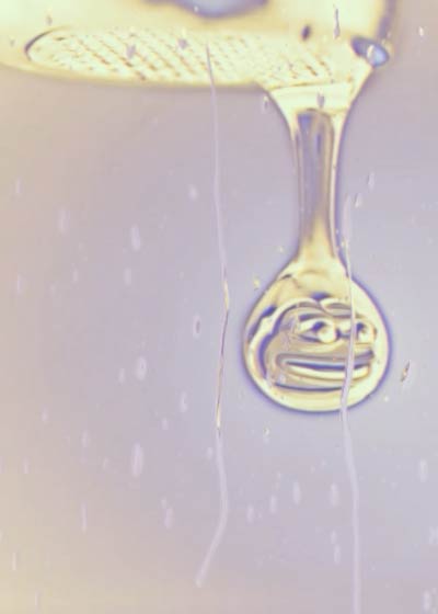 xcp.coindaddy.io/PEPEDRIP.json