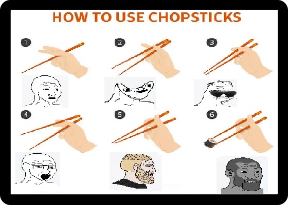 imgur/UjEcr8c.jpg;HOWTOUSECHOPSTICK