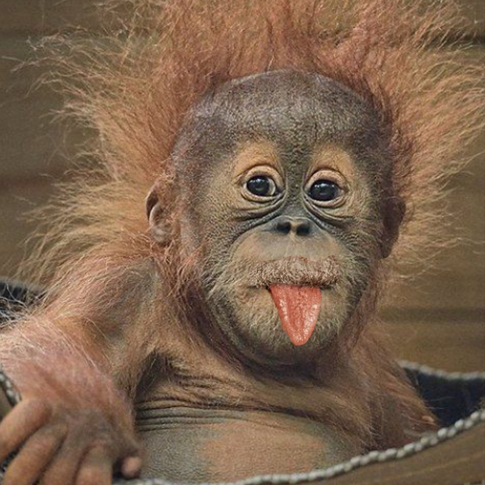 imgur/WYBmnHr.jpg; Bapestein